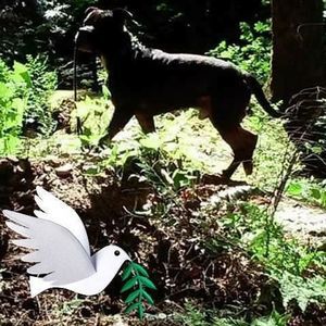 Meet your Posher, Charles